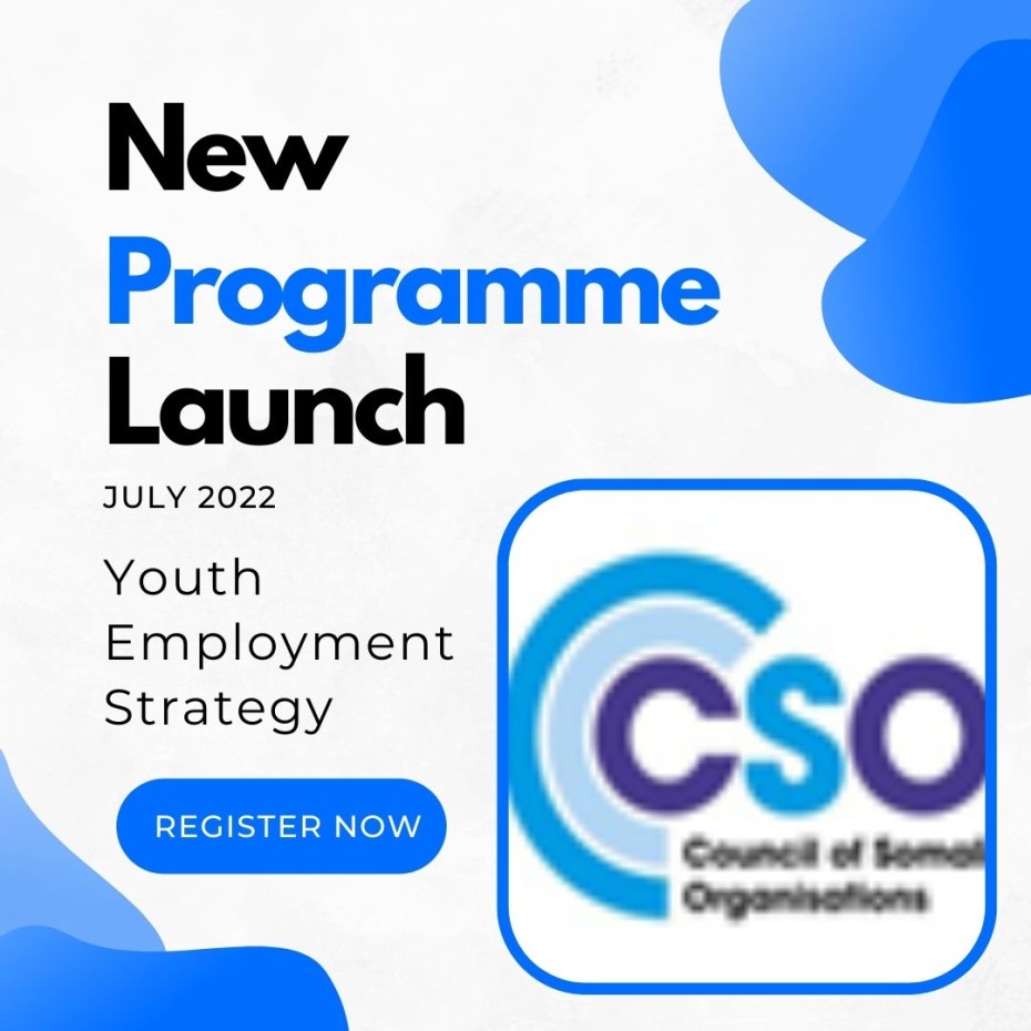 Youth Employment Strategy Programme